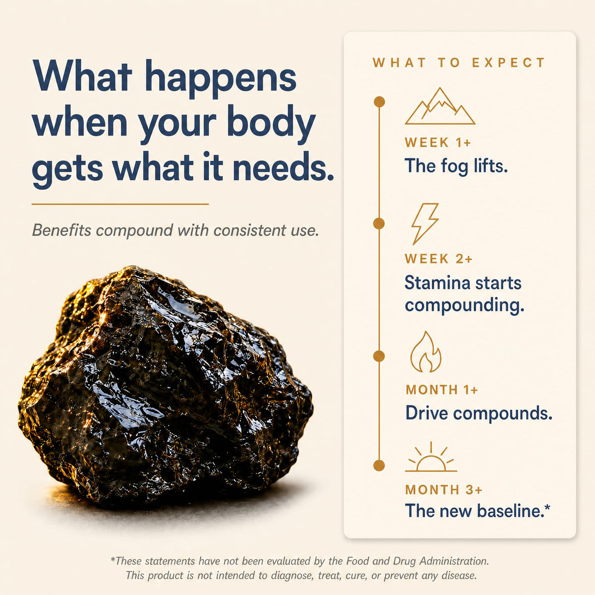 Shilajit for Men and Women - 80% Fulvic Acid 1250 mg 5-in-1 Complex 60 Caps