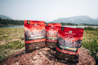 Stella & Chewy's Wild Red Coated GF Red Meat Dry Dog Food, 21 lb