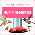 Pennington Electro-Nectar Hummingbird Nectar Ready to Use 64-Oz Bottle