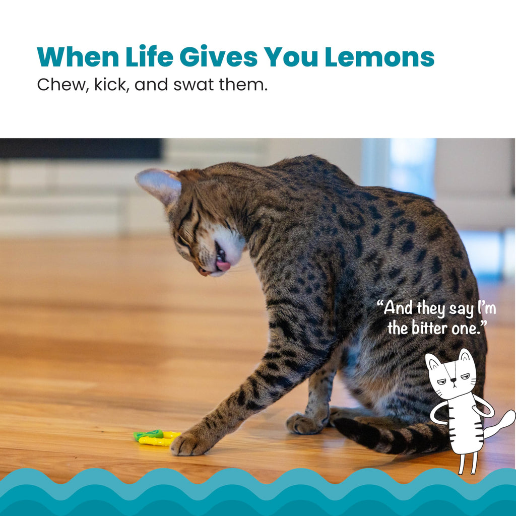 Catstages Dental Lemon Teether Interactive Chew Cat Toy with Catnip, 2.4"