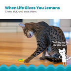 Catstages Dental Lemon Teether Interactive Chew Cat Toy with Catnip, 2.4"