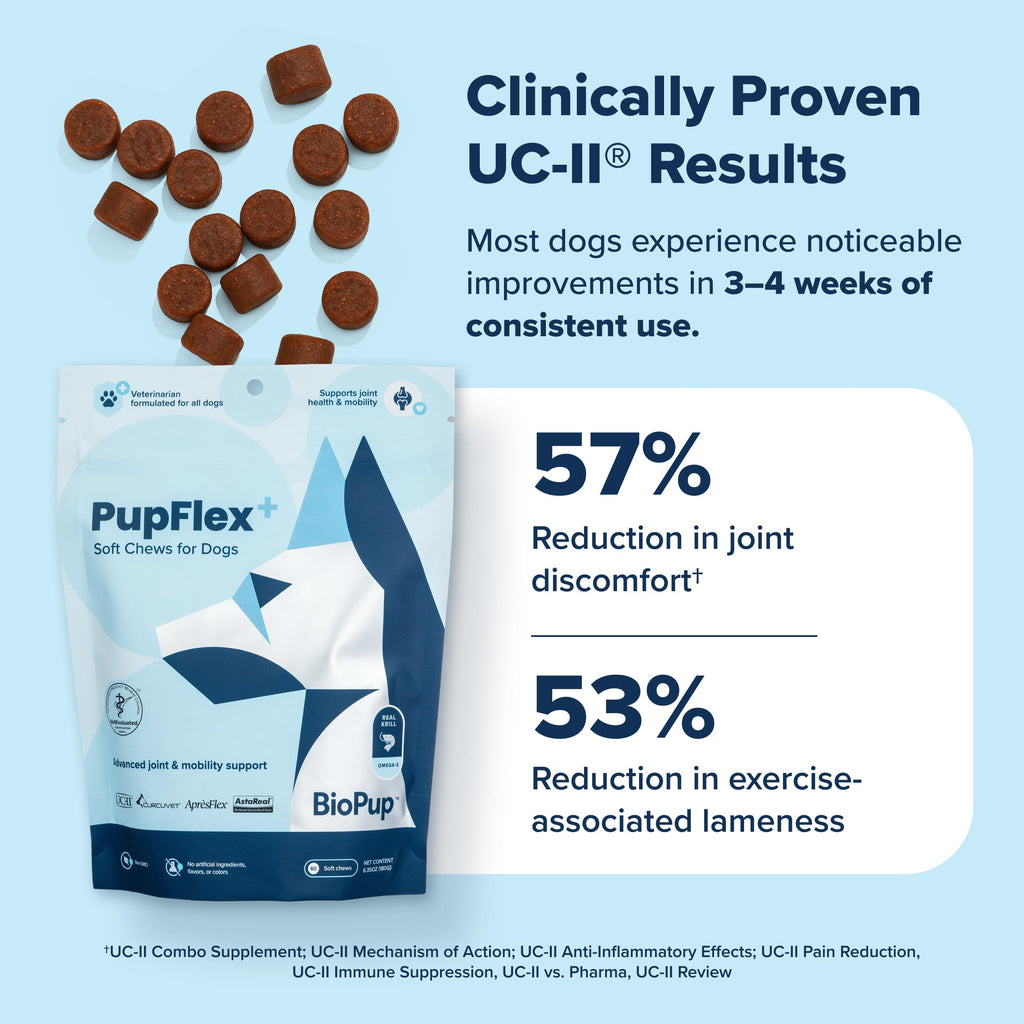 PupFlex+ Hip and Joint Supplement Dogs, Vet Created Soft Chews w/UC-II® Collagen, CurcuVET® & Omega 3 - UC-II Collagen More Effective Than Glucosamine Chondroitin, Dog Joint Supplement (60 ct)