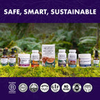 Host Defense Lion's Mane, Brain Health & Focus Support, 120 Capsules | Brain Health Support Supplement to Aid Mental Clarity, Focus, and Memory Function, Immune System Support, 60 Servings