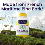 Healthy Origins Pycnogenol Pine Bark 100 mg, 60 Veggie Caps