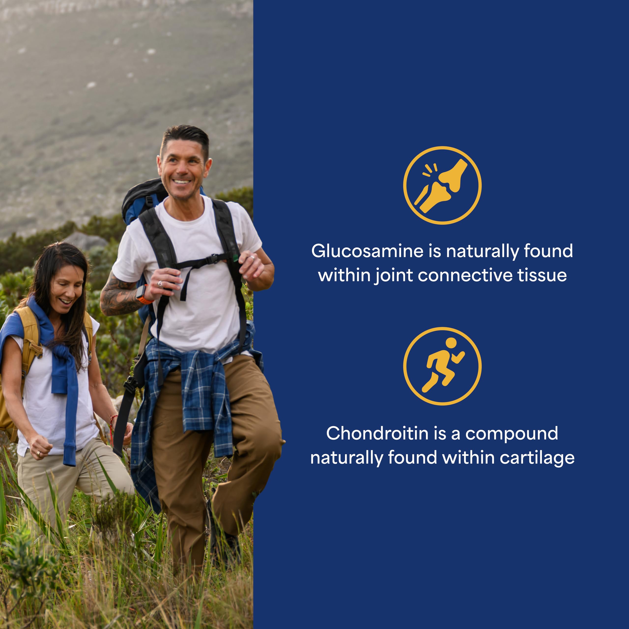 Puritan's Pride Glucosamine Chondroitin Complex for Women and Men
