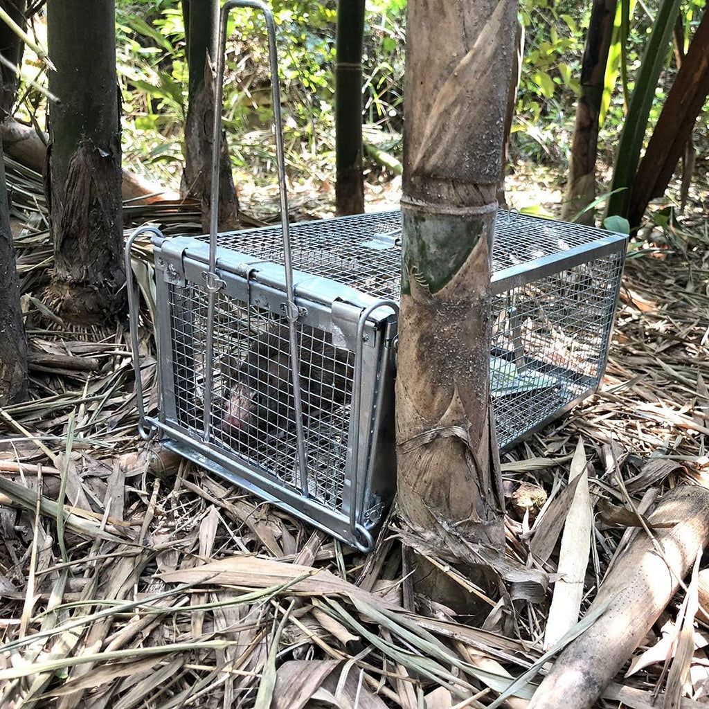 Buy now Gingbau Chipmunk Trap Humane Live Mouse Rat Cage Trap - Small at indiglob india