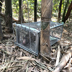 Buy now Gingbau Chipmunk Trap Humane Live Mouse Rat Cage Trap - Small at indiglob india
