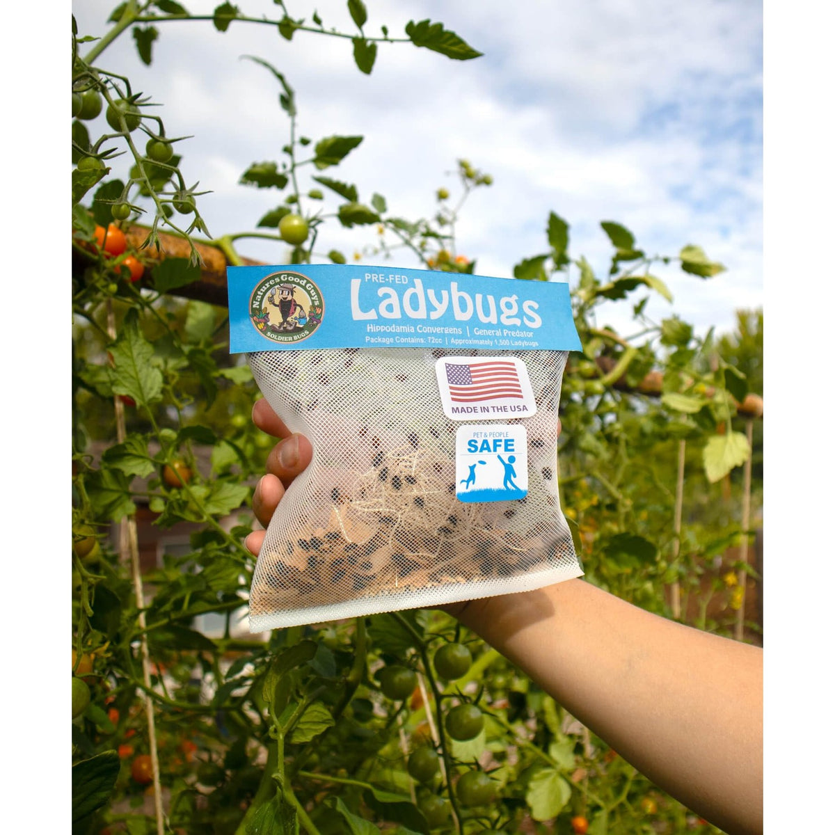 Natures Good Guys 1500 Live Ladybugs - Good Bugs- Ladybugs - Guaranteed Live Delivery!