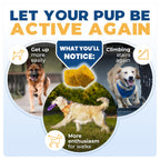 Jope Hip & Joint Supplement for Dogs Large, Medium, Small - Joint Chews w/UC-II® Collagen - Proven Better Than Glucosamine Chondroitin in Canine Health - Veterinarian Formulated, Omega 3 & Curcumin