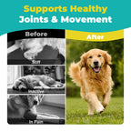 Dog Pain Relief Anti-Inflammatory, Joint Supplement for Dogs, Anti-Inflammatory Pain Support for Joint Stiffness & Soreness, Supports Mobility & Comfort, 60 Tablets
