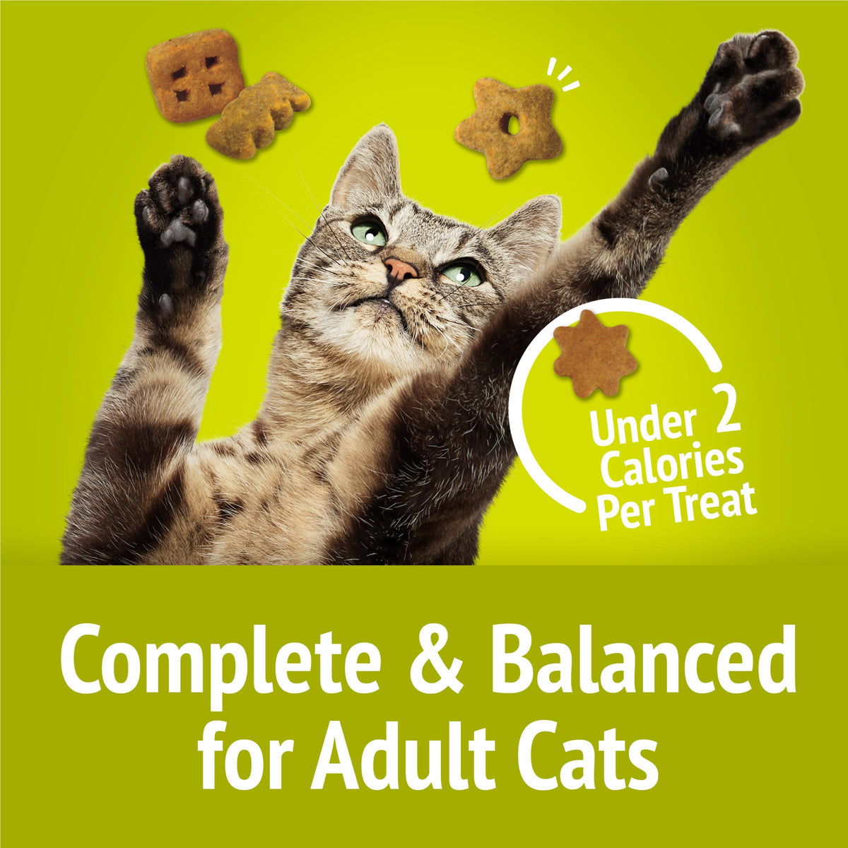 Friskies Purina Party Mix Morning Much Crunch Cat Treats, 30 oz Canister
