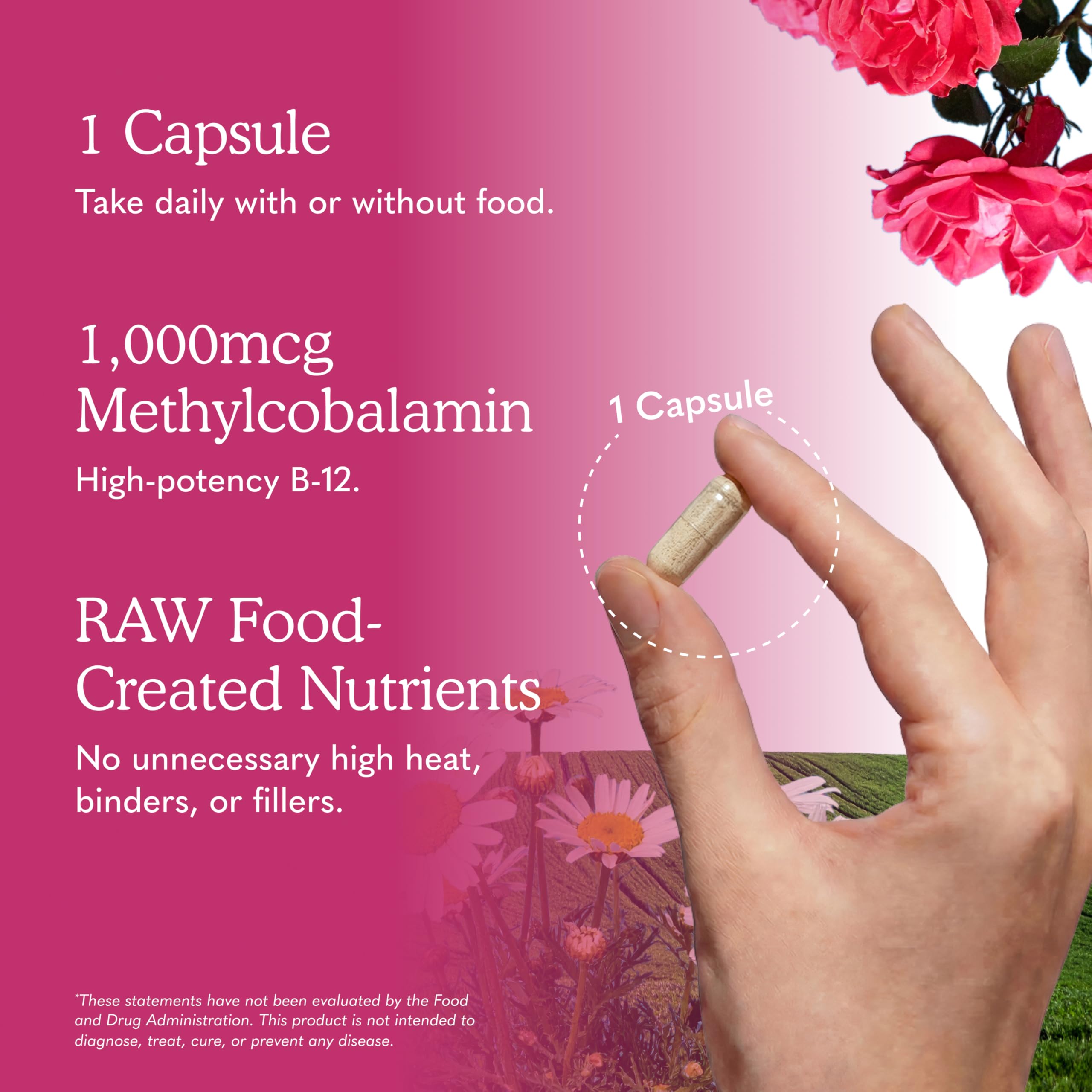 Garden of Life Vitamin Code Raw B-12 - 30 Capsules, 1,000mcg Whole Food B12 Methylcobalamin for Energy, Vegan Methylcobalamin Vitamin plus Probiotics and Enzymes, Gluten Free Supplements