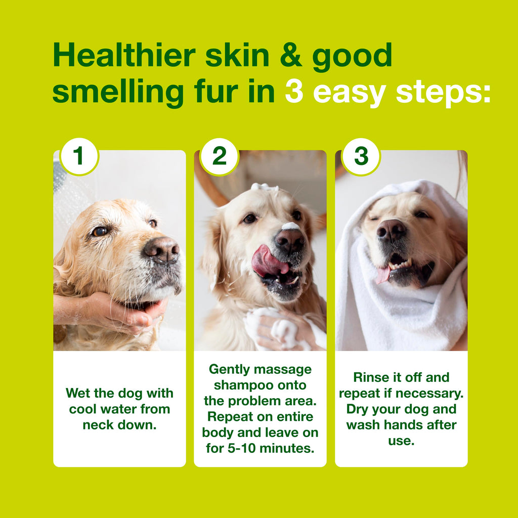 Douxo S3 SEB Dog Seboregulating Shampoo, 0.5% Ophytrium, 16.9 fl oz