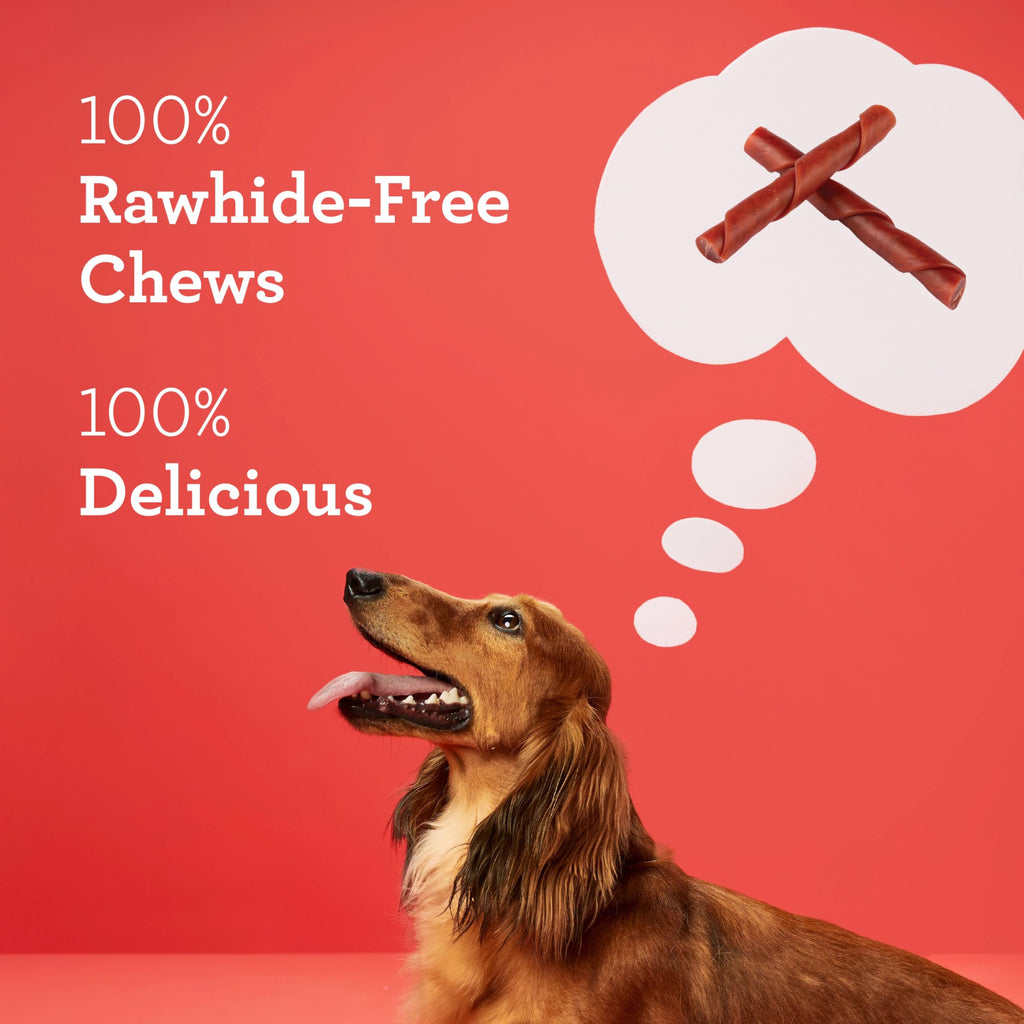DreamBone Stuffed Twistz Rawhide-Free Dog Treats, Real Protein, 10 Count