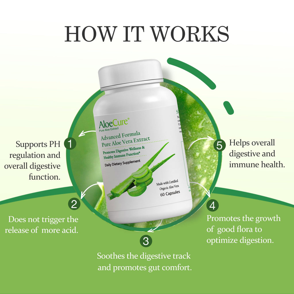 Aloe Vera Capsules for Gut Health & Digestive Comfort 60ct x 300mg | Gently Support Gut Health & Digestive Comfort. Vegan, non-GMO Aloe leaf extract. Aloin Free Naturally Support Immune Health