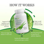Aloe Vera Capsules for Gut Health & Digestive Comfort 60ct x 300mg | Gently Support Gut Health & Digestive Comfort. Vegan, non-GMO Aloe leaf extract. Aloin Free Naturally Support Immune Health