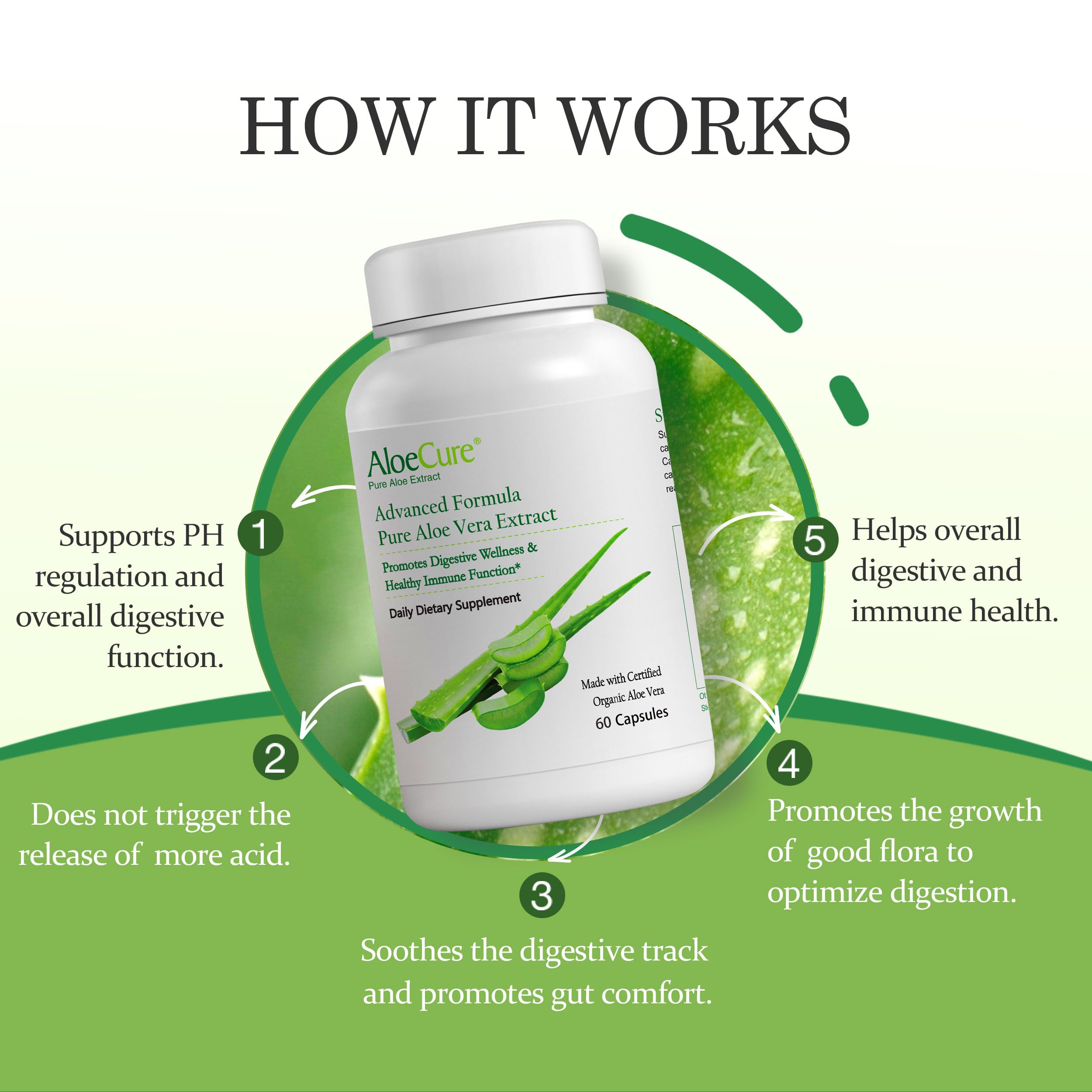 Aloe Vera Capsules for Gut Health & Digestive Comfort 60ct x 300mg | Gently Support Gut Health & Digestive Comfort. Vegan, non-GMO Aloe leaf extract. Aloin Free Naturally Support Immune Health