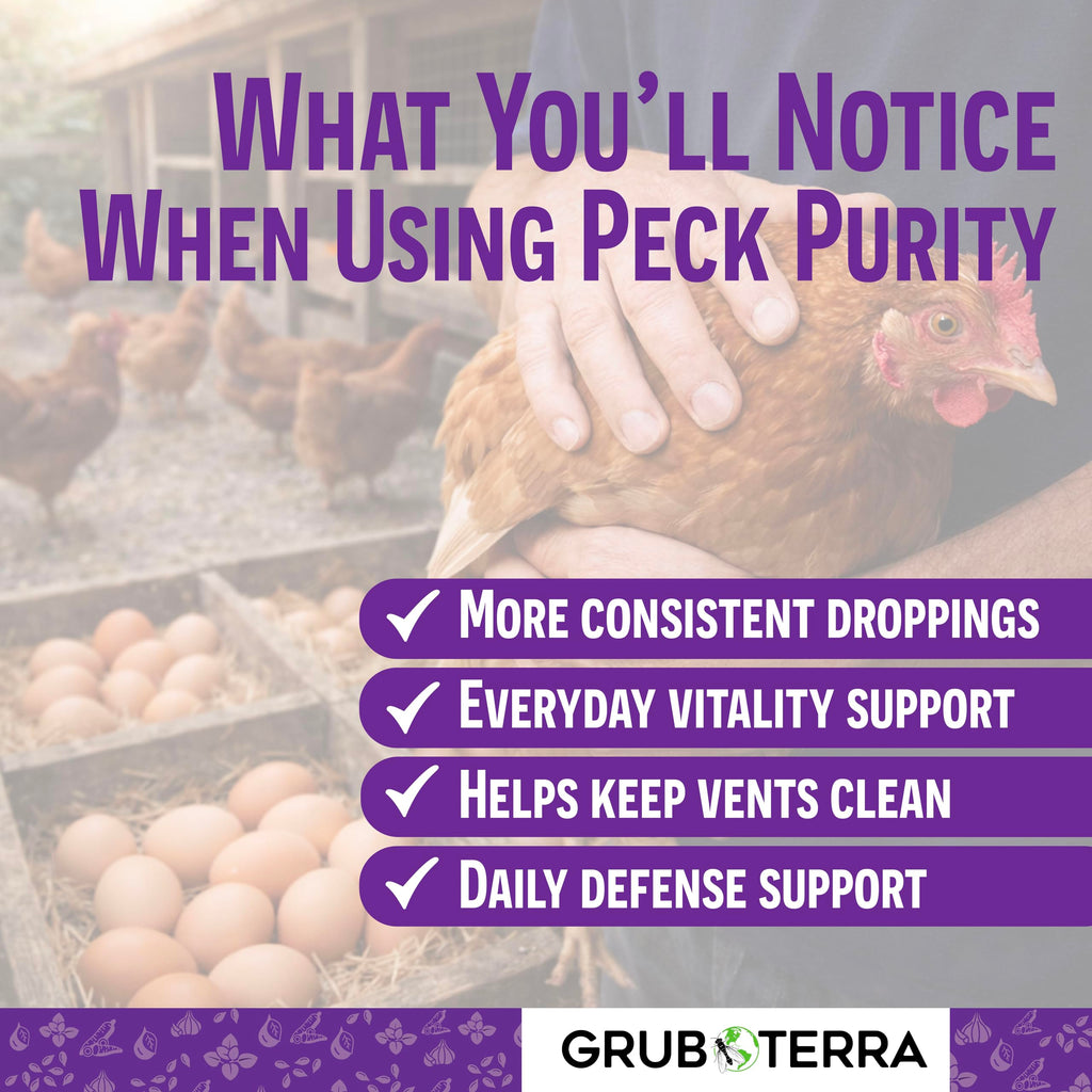 PeckPurity Natural Chicken Dewormer Powder for Laying Hens, 1 lb