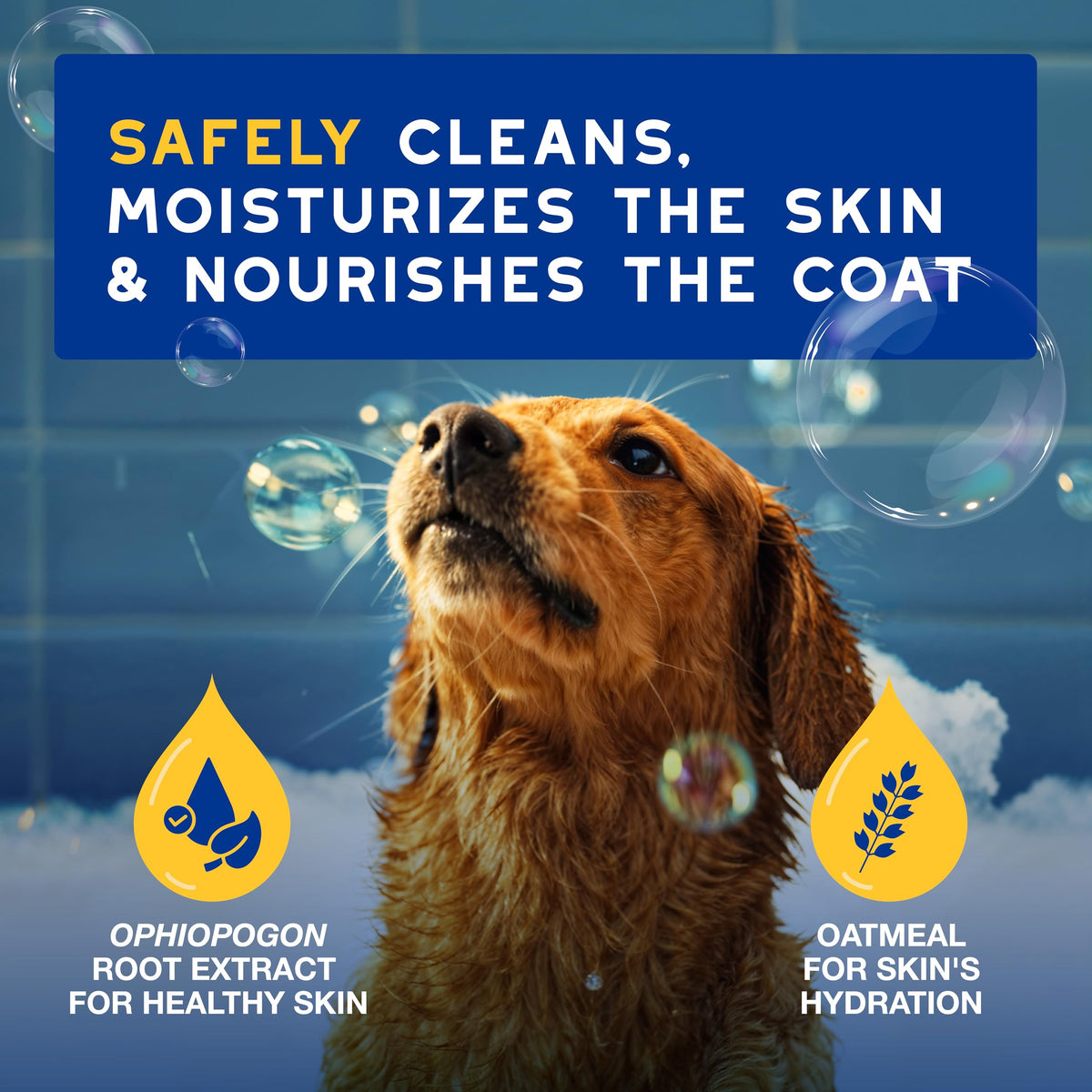 DOUXO SPA Oatmeal Dog Shampoo, 16 fl oz