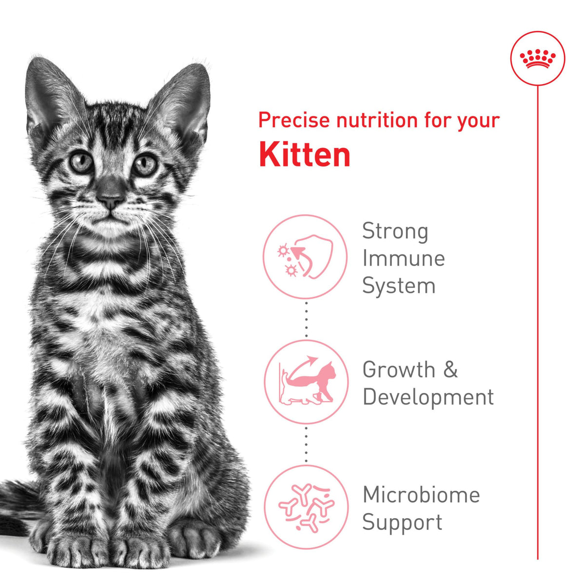 Royal Canin Feline Health Nutrition Spayed/Neutered Kitten Dry Cat Food, 2.5 lb Bag