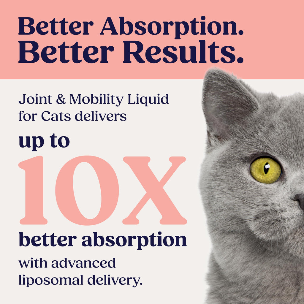 Summit Feline Pain Relief Supplement Inflammation Hip & Joint Support Vitamin for Cats - Natural Chrondroitin with Liposomal Delivery for Arthritis - Drug Free - All Ages