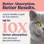 Summit Feline Pain Relief Supplement Inflammation Hip & Joint Support Vitamin for Cats - Natural Chrondroitin with Liposomal Delivery for Arthritis - Drug Free - All Ages