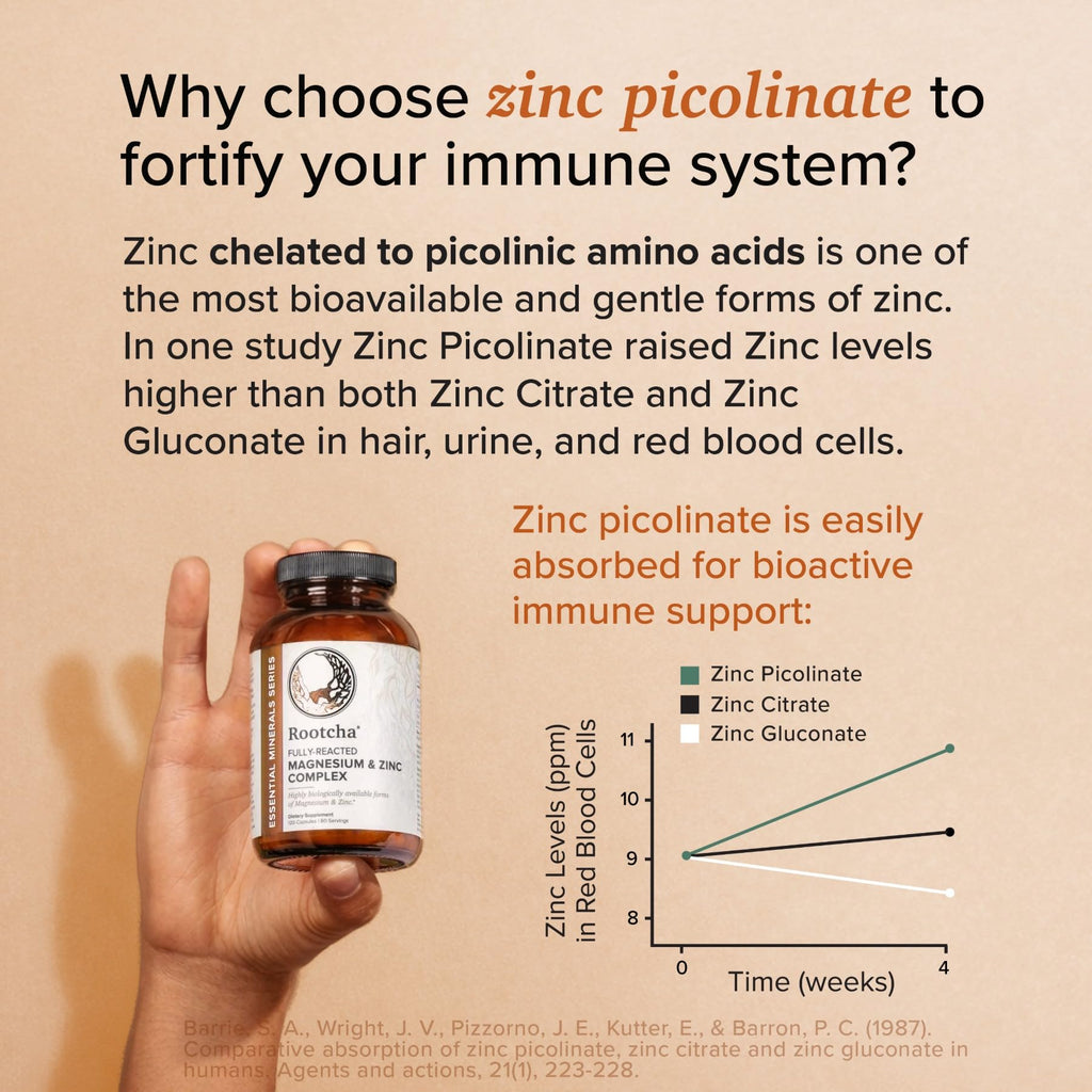 Potent & Pure Magnesium & Zinc Complex - Fully Reacted Magnesium with Chelated Zinc Picolinate - by Rootcha | 120 Capsules