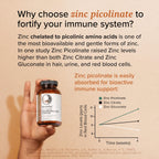 Potent & Pure Magnesium & Zinc Complex - Fully Reacted Magnesium with Chelated Zinc Picolinate - by Rootcha | 120 Capsules