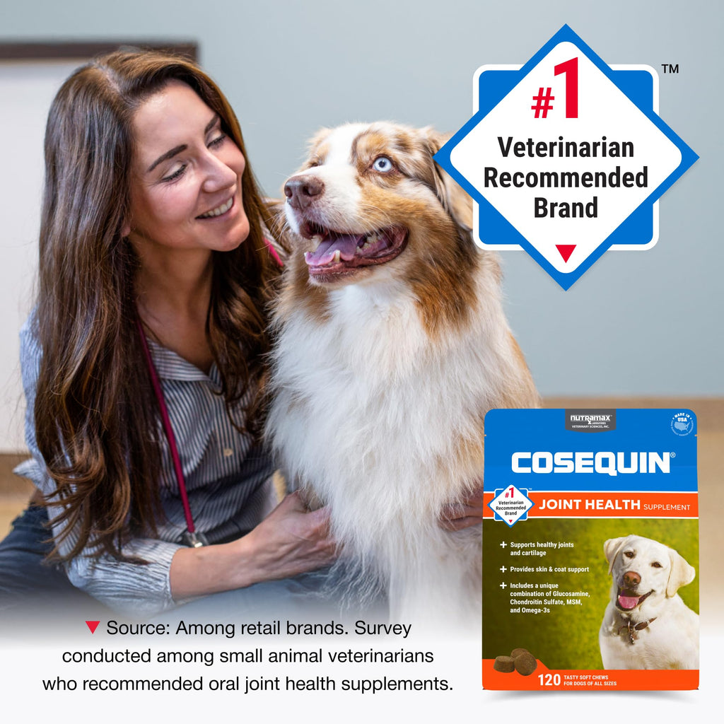 Nutramax Cosequin Joint Supplement for Dogs, Skin & Coat, Soft Chews,120ct