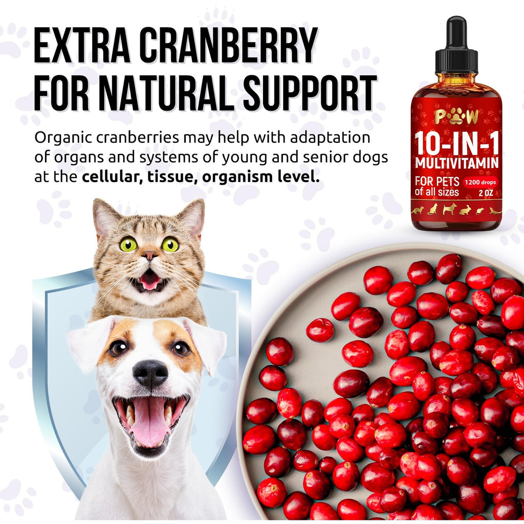 Liquid Multivitamin for Dogs with Glucosamine – Help with Allergies & UTIs – Dog Vitamins and Supplements – Cat Multivitamin for Hips & Joints – B, C & D3 for Coat Shining & Digestion – 2 oz
