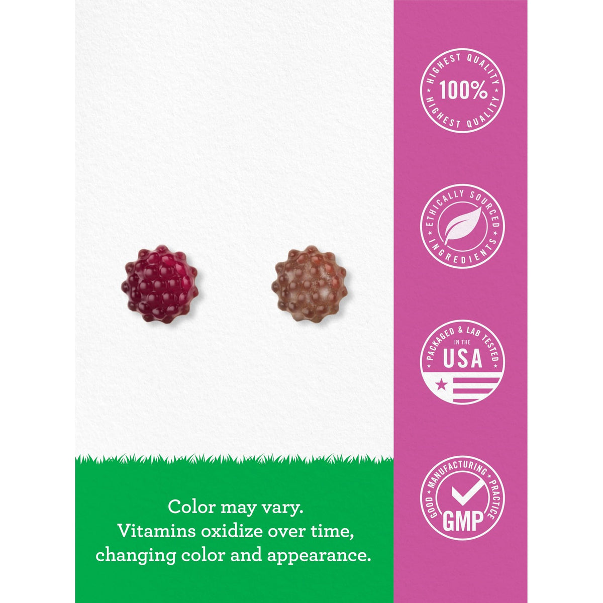 Carlyle Elderberry Gummies for Kids | 120 Count | Zinc and Vitamin C