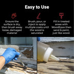 LiquidWood Epoxy Wood Consolidant