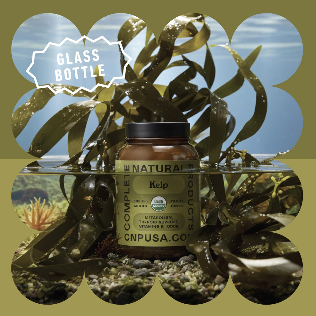 CNP | Icelandic Sea Kelp Capsules 600mg - Iodine, Thyroid Support Pills