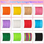 Selizo 12 Rolls Nylon String for Bracelets, Chinese Knotting Nylon Cord for Jewelry Making, Nylon Beading Thread for Kumihimo, Braided Bracelets, Necklaces, Macrame Craft, Wind Chime