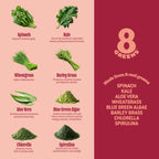 8Greens Daily Greens Gummies, Peach, 100 Count | Spinach, Wheatgrass, Blue Green Algae, Spirulina, Aloe Vera, Chlorella, and Barley Grass; For Metabolism, Immunity & Focus