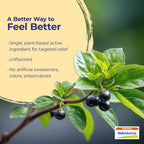 Boiron Belladonna 30C for High Fever - 240 Pellets