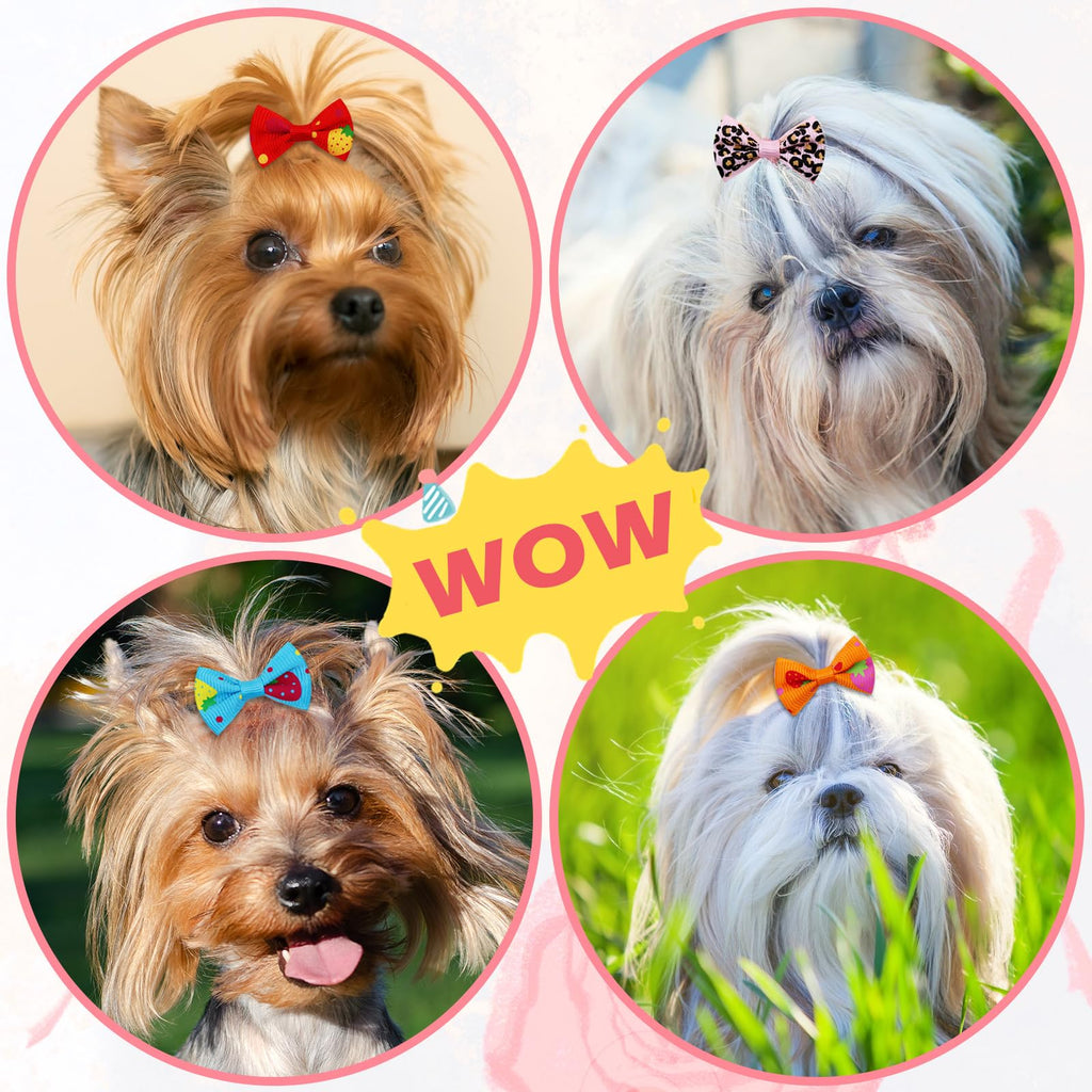Small Dog Hair Bows with Rubber Bands for Small Medium Dogs