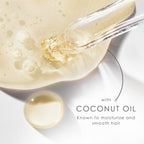 Dove Shampoo Coconut & Hydration for Dry Hair with Bio-Protein Care Technology and Coconut Oil 28 Fl Oz (Pack of 4)