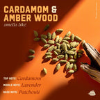 Old Spice Men's Shampoo, The Spice Alchemist Collection, Cologne-Infused Cardamom and Amber Wood Scent, Free of Parabens & Phthalates, 20 fl oz