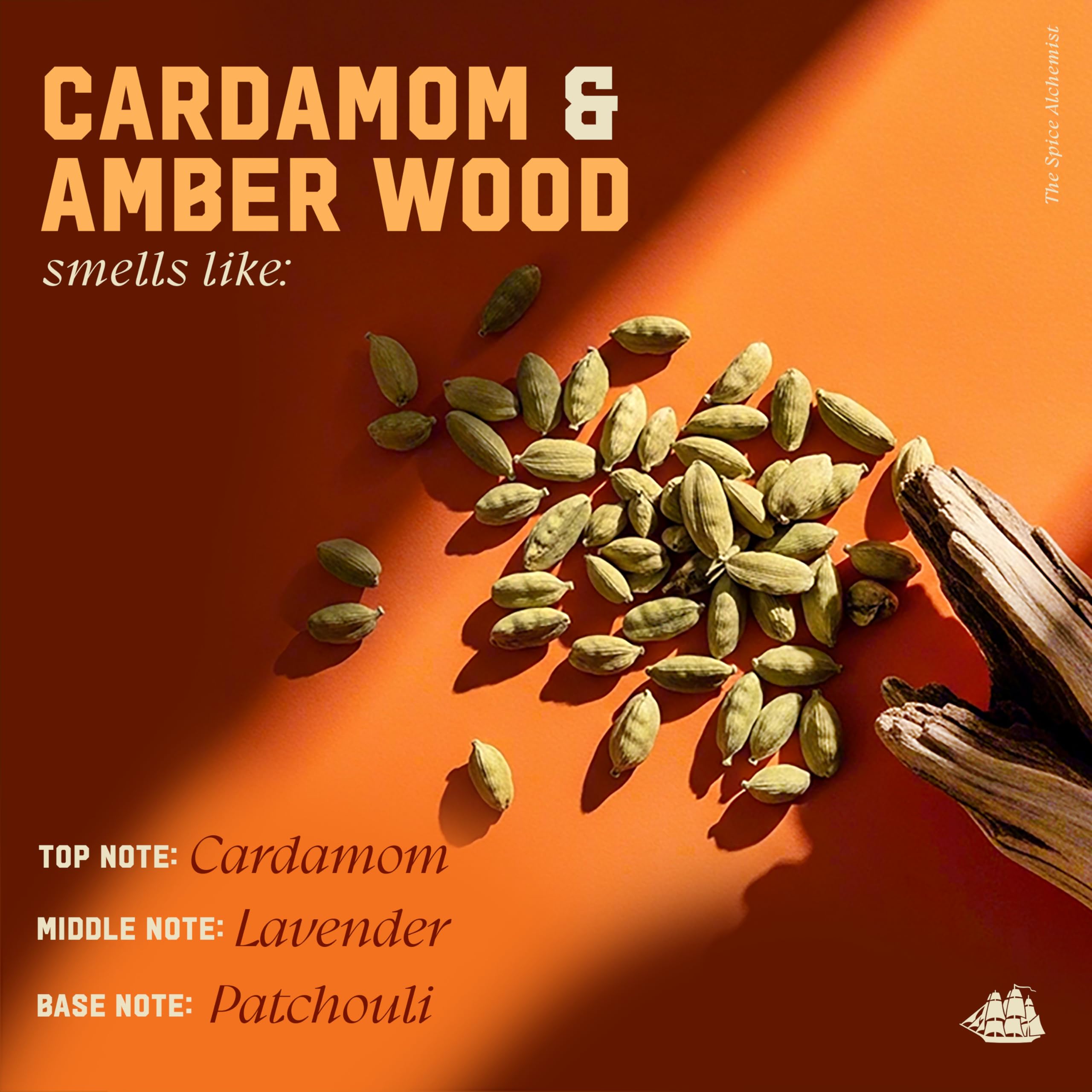Old Spice Men's Shampoo, The Spice Alchemist Collection, Cologne-Infused Cardamom and Amber Wood Scent, Free of Parabens & Phthalates, 20 fl oz