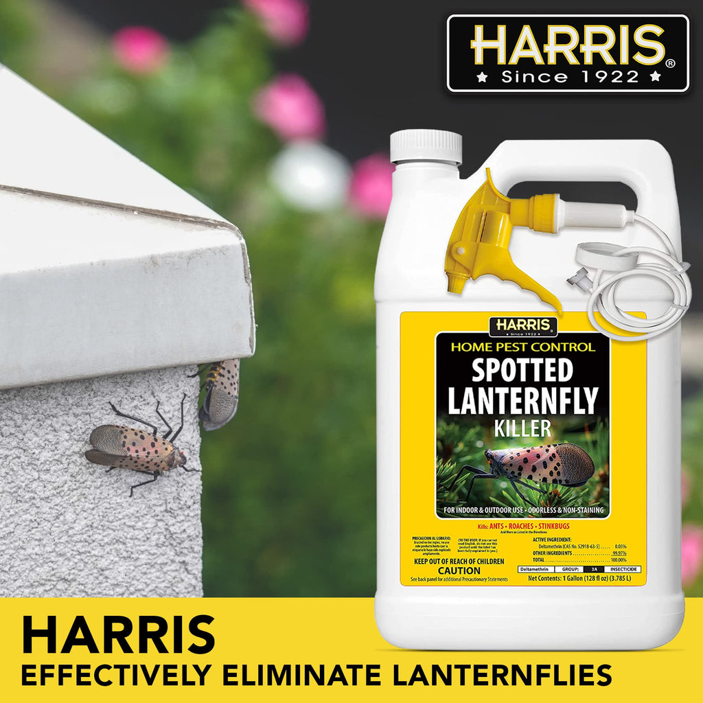 Harris Spotted Lantern Fly Killer, Odorless and Non Staining Ready to Use Spray, 128oz