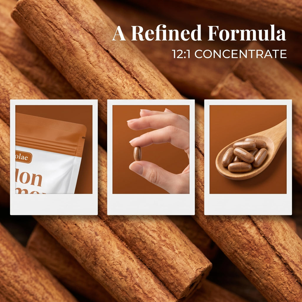 Metabolae Ceylon Cinnamon - 300 Softgels, 12:1 Concentrated Cinnamon Extract with MCT Oil, High Absorption Formula, Daily Wellness Support Supplement, Non-GMO & Gluten-Free