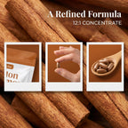 Metabolae Ceylon Cinnamon - 300 Softgels, 12:1 Concentrated Cinnamon Extract with MCT Oil, High Absorption Formula, Daily Wellness Support Supplement, Non-GMO & Gluten-Free