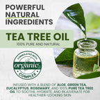 KESMEDIK Tea Tree Body Wash MaxTherapy with 100% Tea Tree Oil for Skin, Eucalyptus & Aloe Vera | Purifying Body Soap, Soothes & Refreshes Sensitive, Itchy Skin, Men & Women, 16 Fl Oz (Pack of 2)