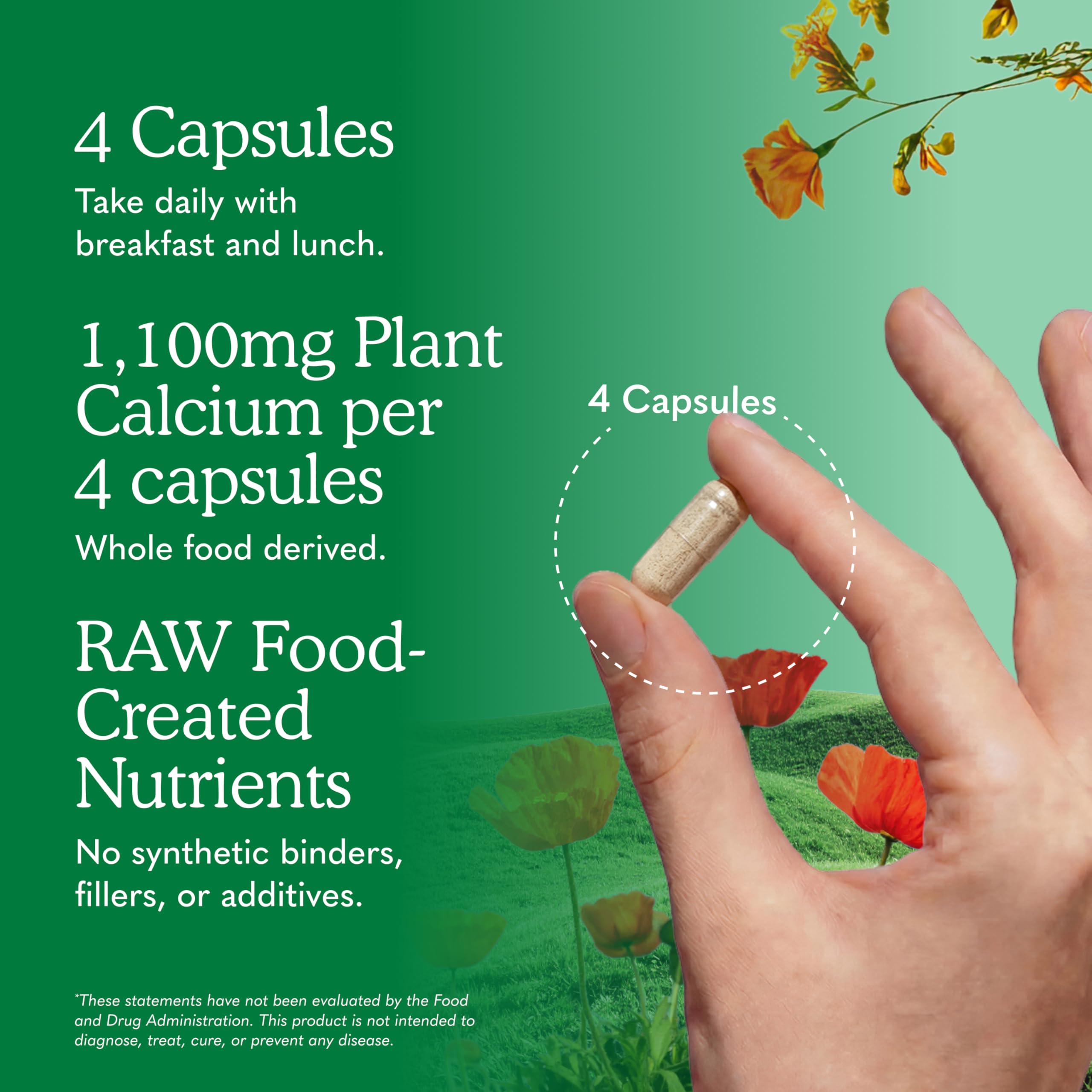 Garden of Life Raw Calcium Supplement for Women and Men - Vitamin Code Made from Whole Foods with Magnesium, K2, Vitamin D3 and Vitamin C plus Probiotics for Digestion, 120 Capsules