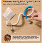 Cat Chew Ropes 4Pcs, Safe Cat Chew Toys for Indoor Cats with Catnip
