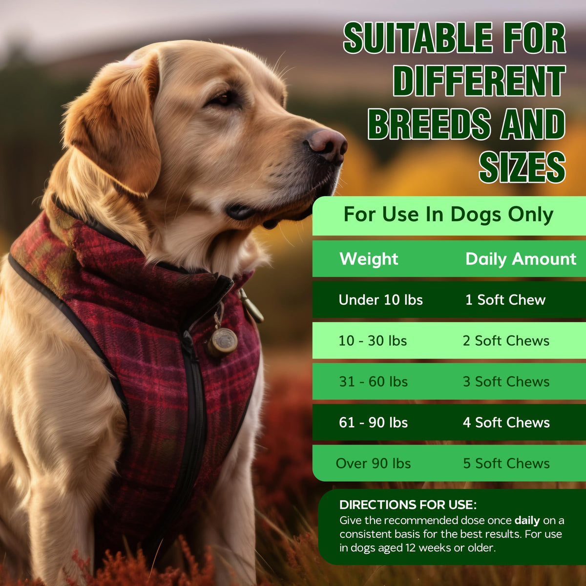 Flea and Tick Prevention for Dogs Chewables -Made in USA- Natural Dog Flea and Tick Treatment - Oral Flea Pills - Vet Recommended Flea and Tick Chews - All Breeds & Sizes - 120 Soft Treats (Chicken)