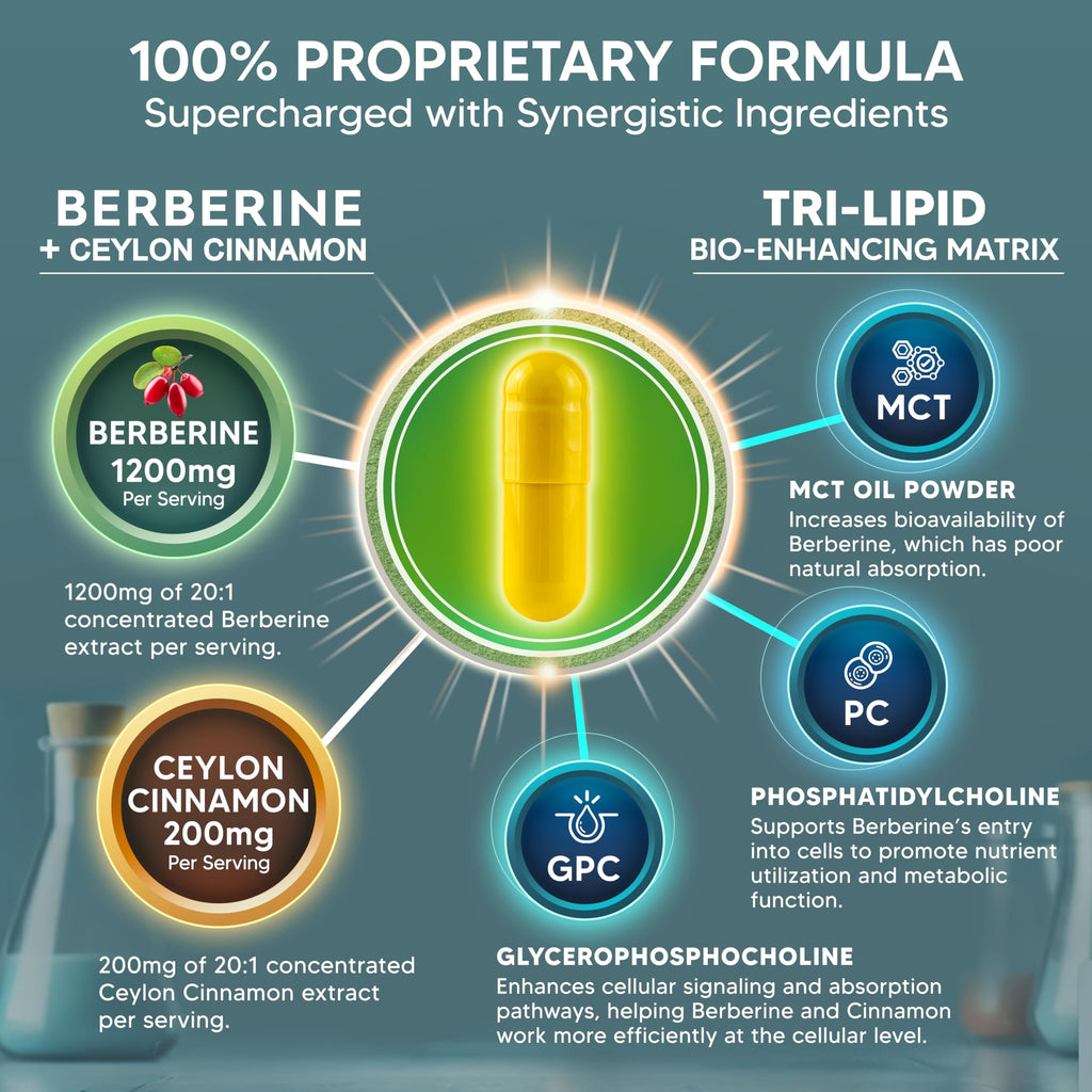 Berberine with Ceylon Cinnamon Supplement - 120 Capsules - 1200mg/Serving | Max Strength Berberine HCl Plus Complex - Premium Pure Extract Pills Alternative to Gummies, Drops & Patches