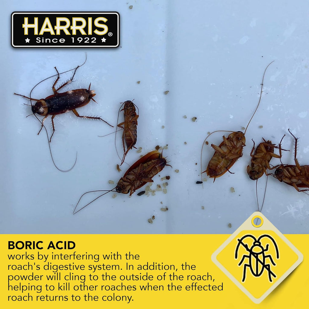 Buy now HARRIS Boric Acid Roach and Silverfish Killer Powder w/Lure for Insects (16oz) at indiglob india