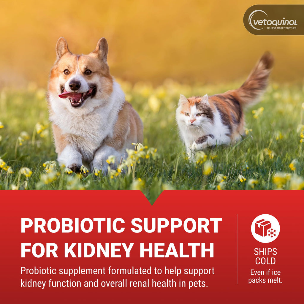 Vetoquinol Azodyl, Kidney Support Supplement for Dogs and Cats, 90 Count